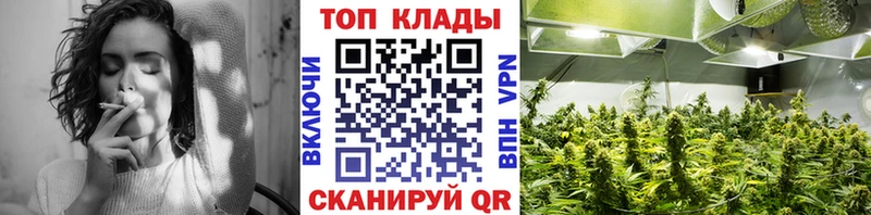 Купить закладку ГАШИШ  Alpha-PVP  Меф  Cocaine  Губкин