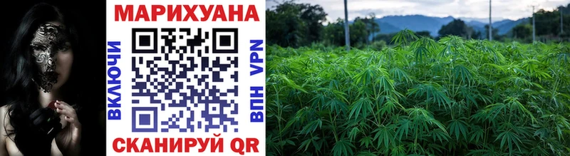 Купить  Губкин  Канабис SATIVA & INDICA 